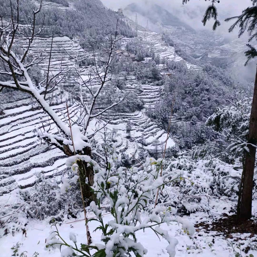 明天会更好