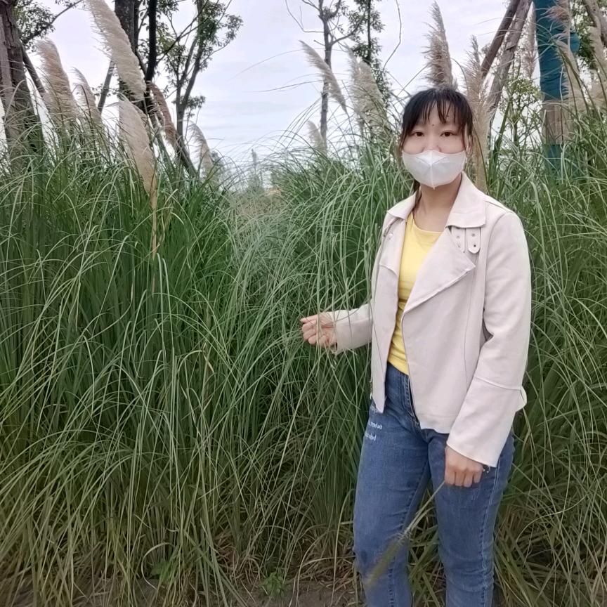 ，\
