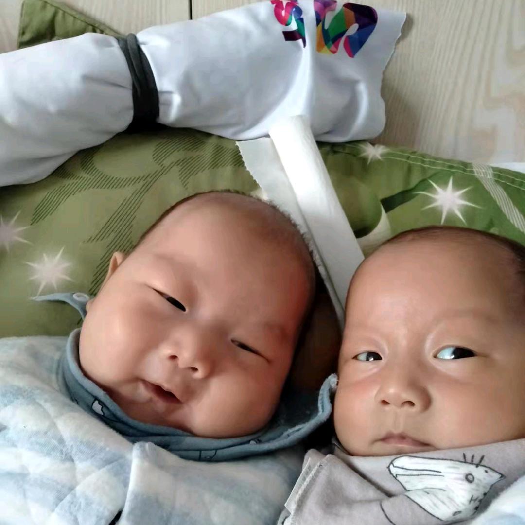 `黑玫瑰