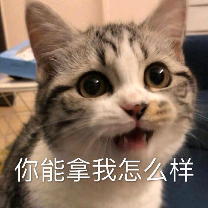 玉米
