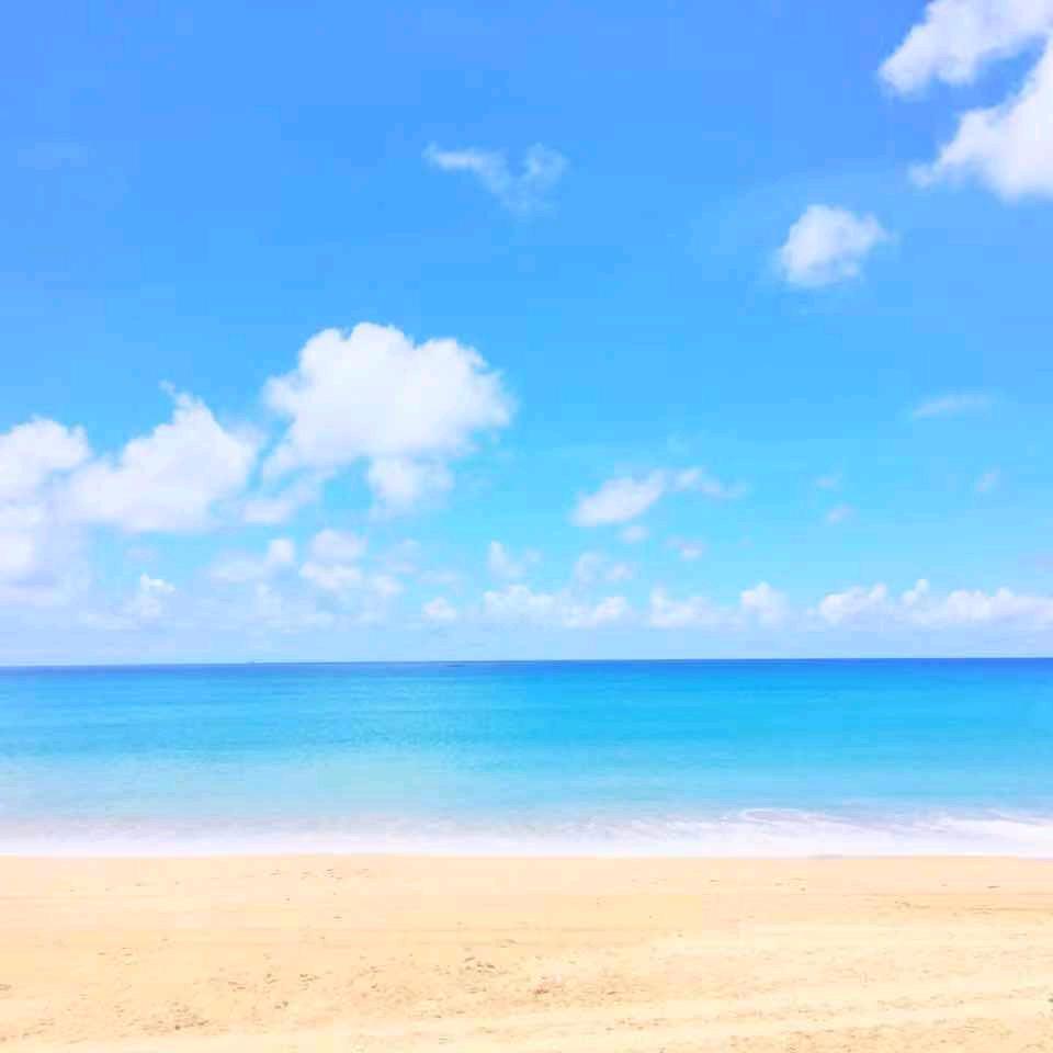 蓝天293