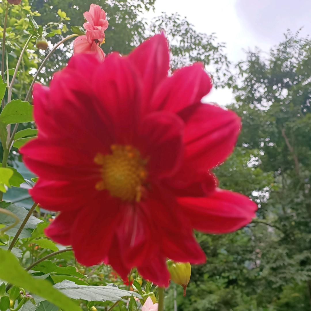 高高兴兴，小张