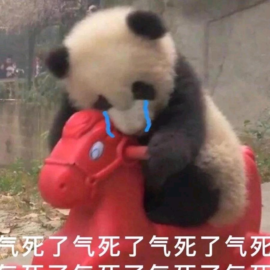 蝴蝶酥22