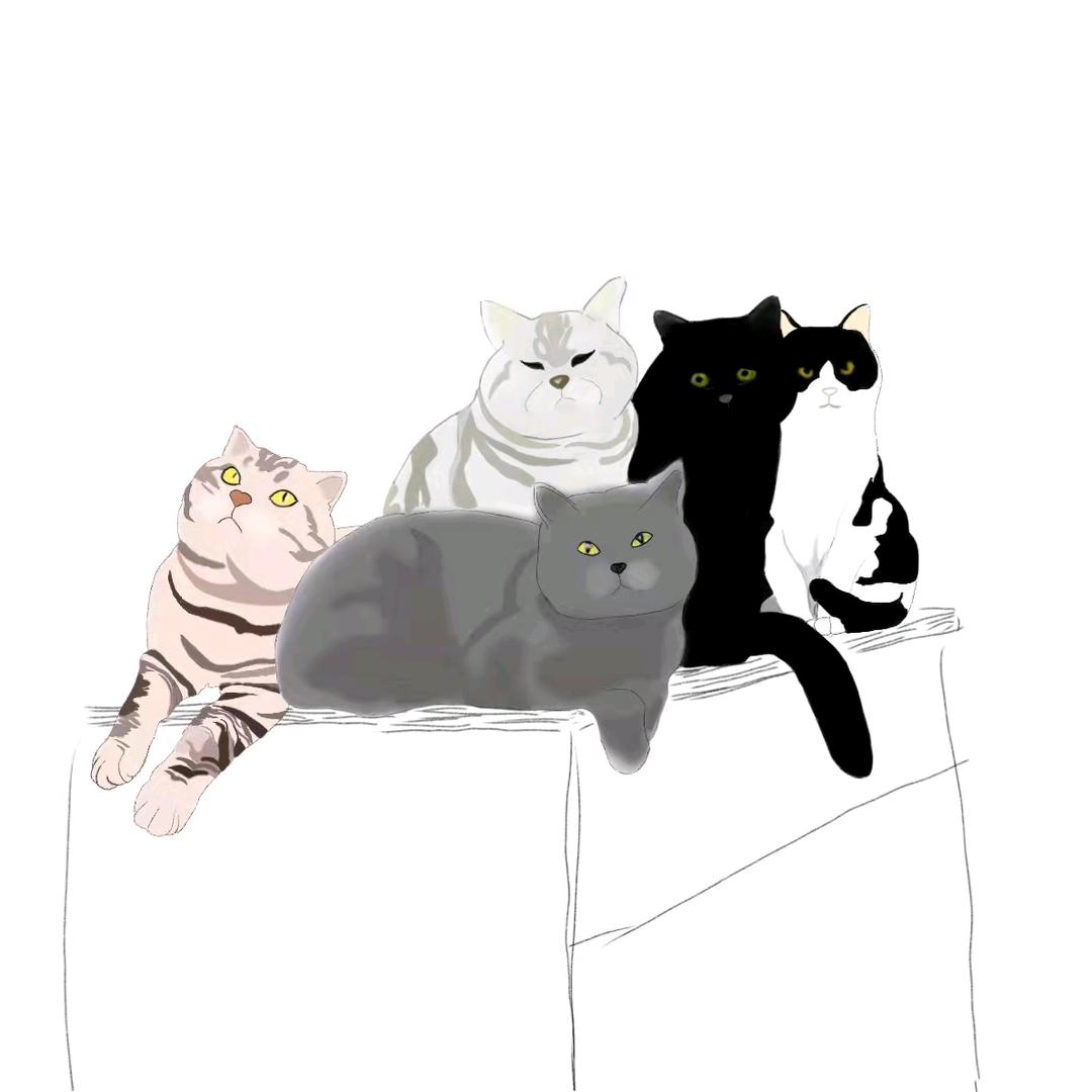 萌萌和她的猫