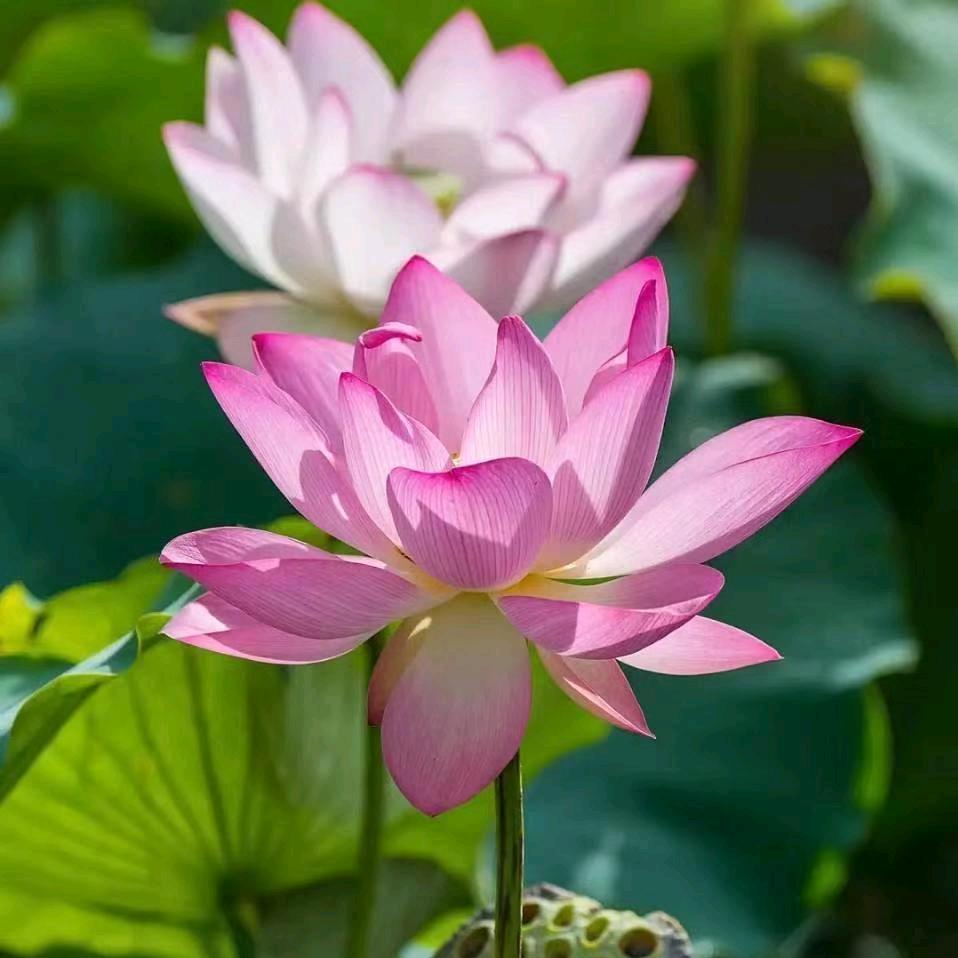💞້໌ᮨ⃝好ᨶ႒ᩚ运ᥫᩣ加满💕