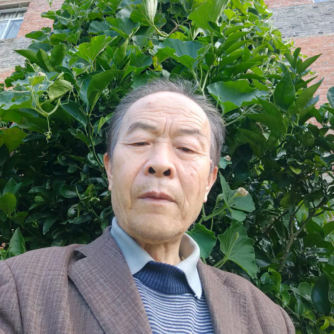 张牛皮