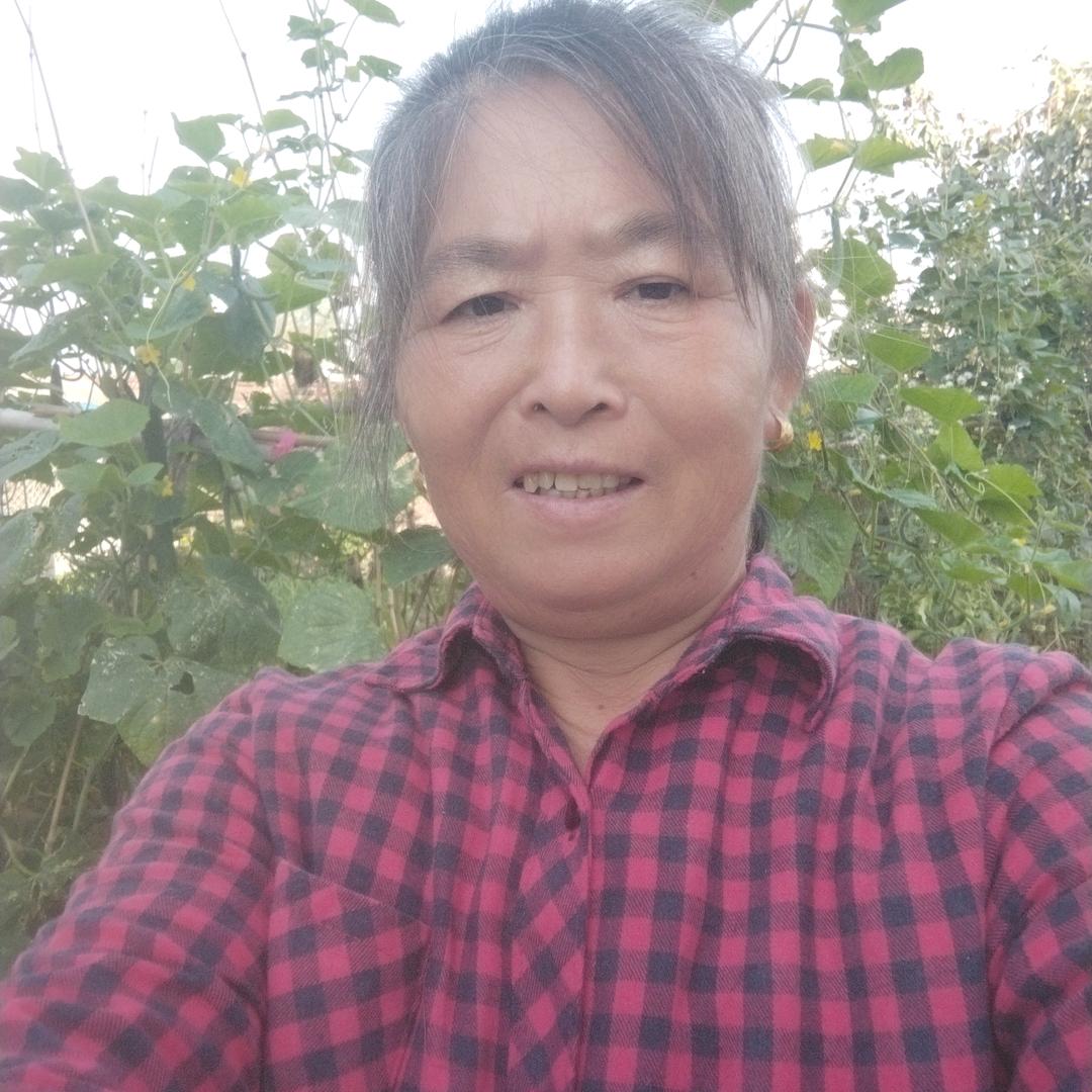 翠屏