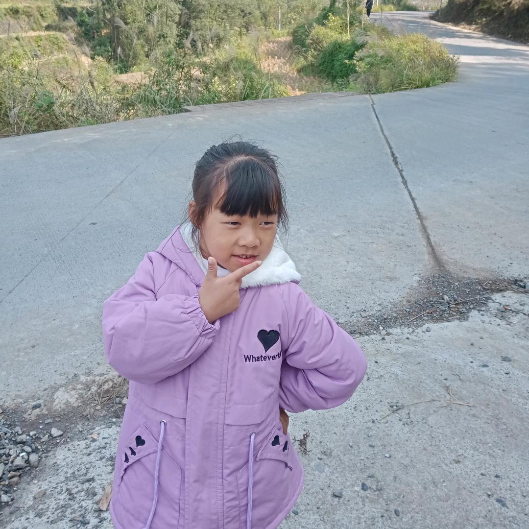 杨六凤
