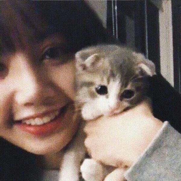 燕子
