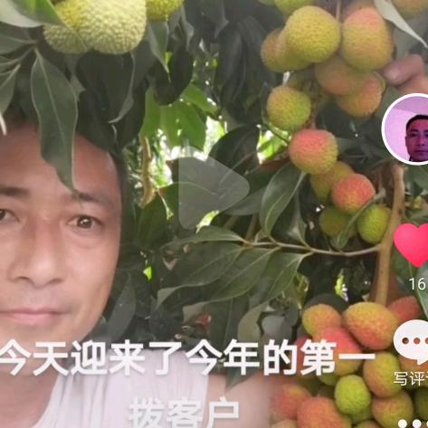 陈玉华