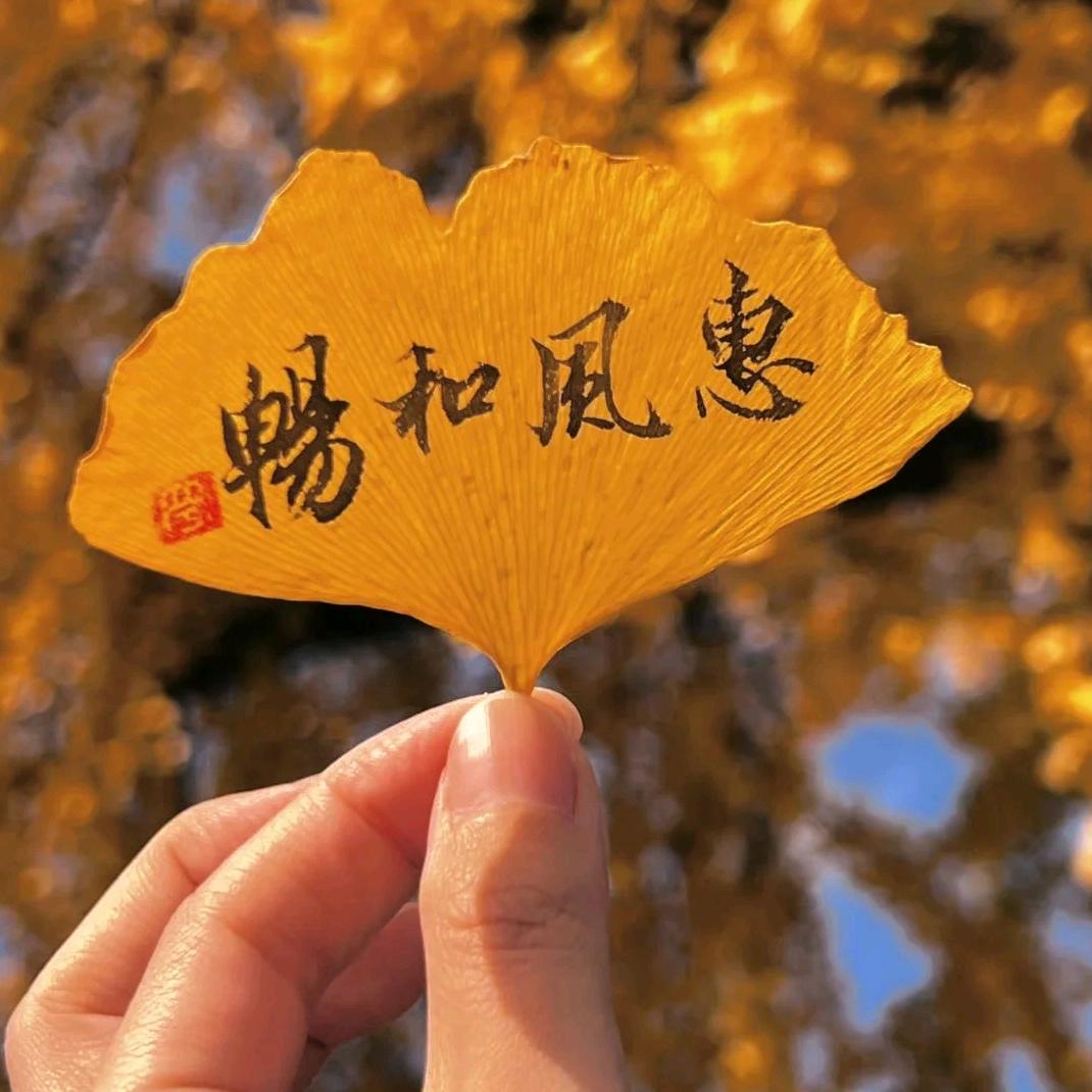 许愿池—咔咔瘦
