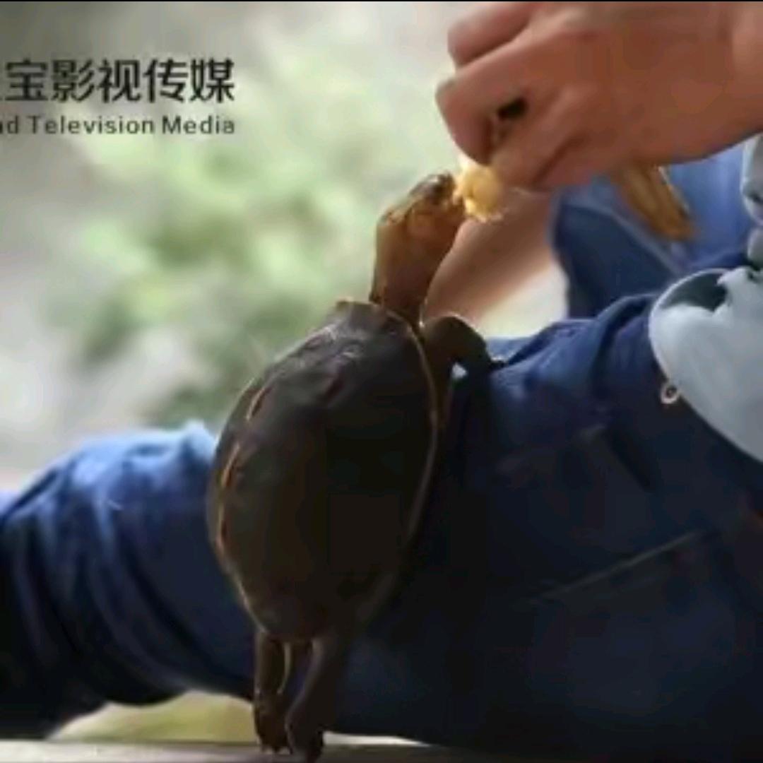 大得欣-燊和黄缘