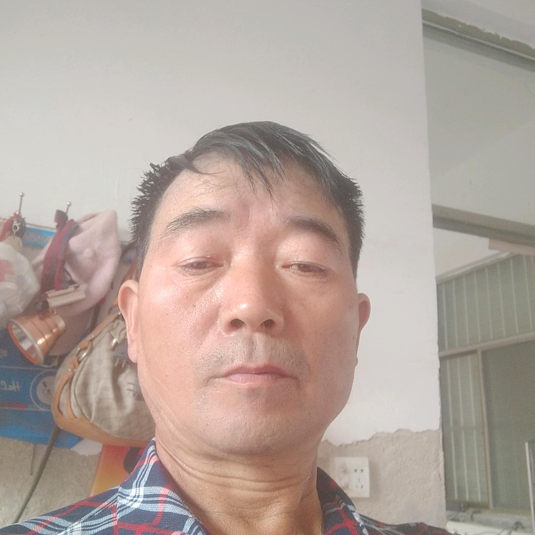 刘金月