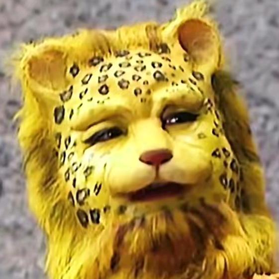 深州🐯小马哥