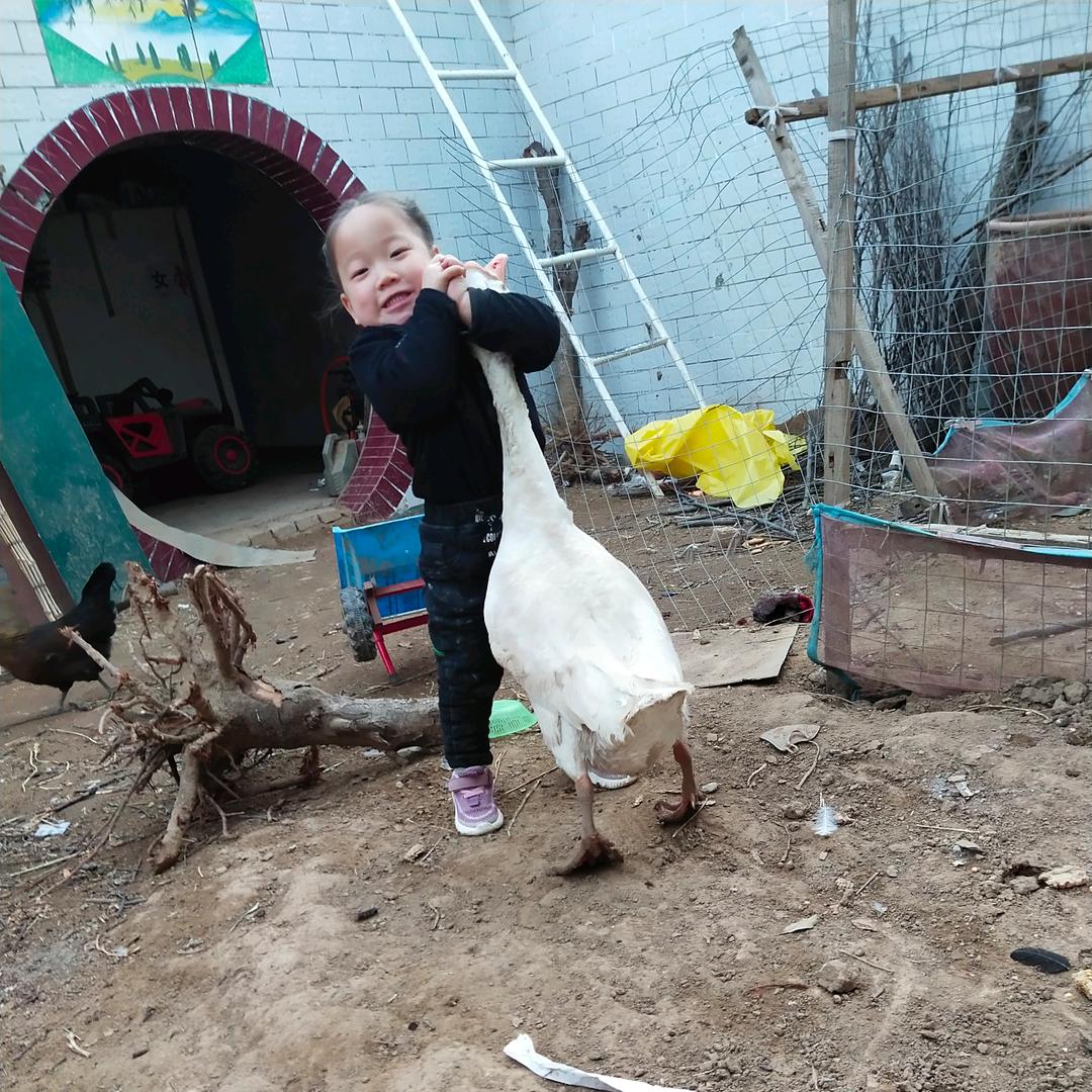 人生路上全是坑