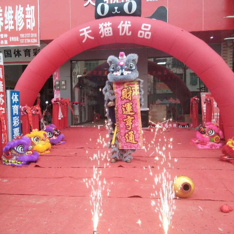 信宜镇隆北畔德庆堂龙狮体育会