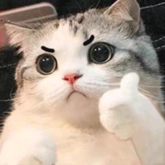不知名的臭宝儿觉得很赞(´-ω-`)
