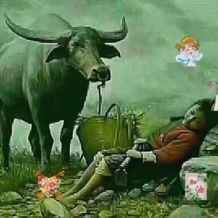 幸福🌲