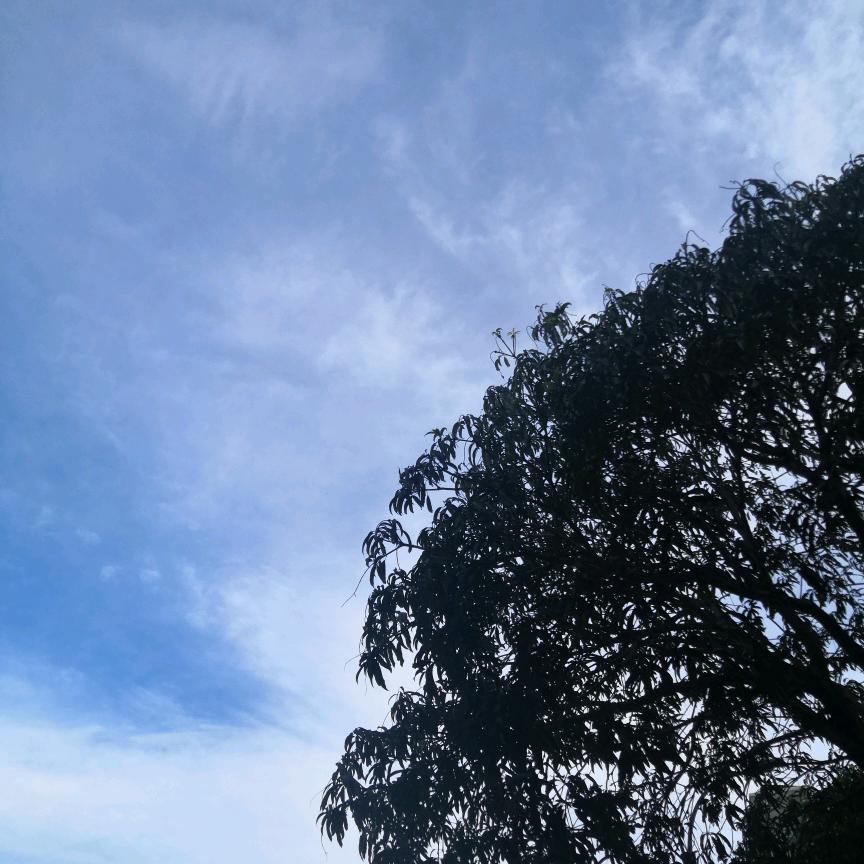 🇲🇴澳门-代驾
