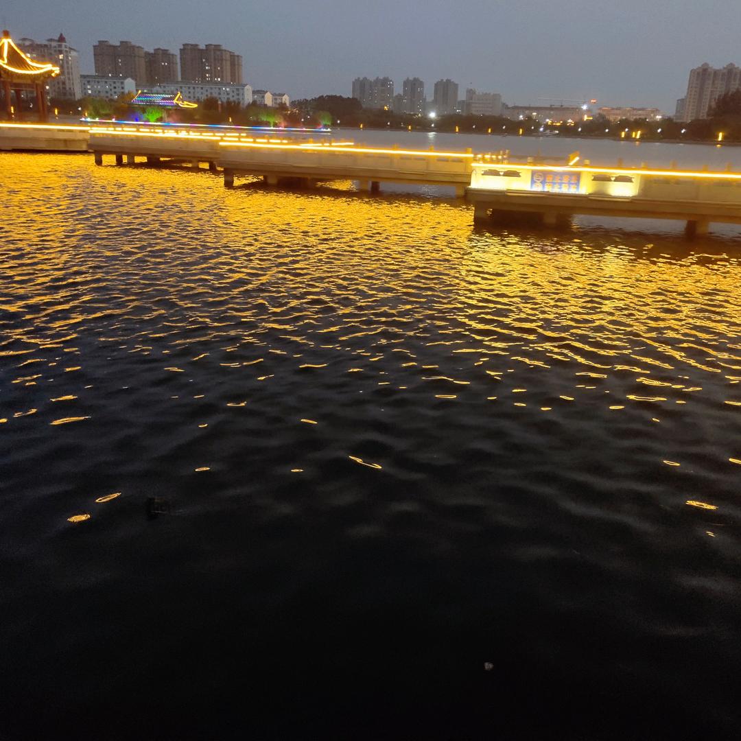 喜我者我惜之   嫌我者我弃之