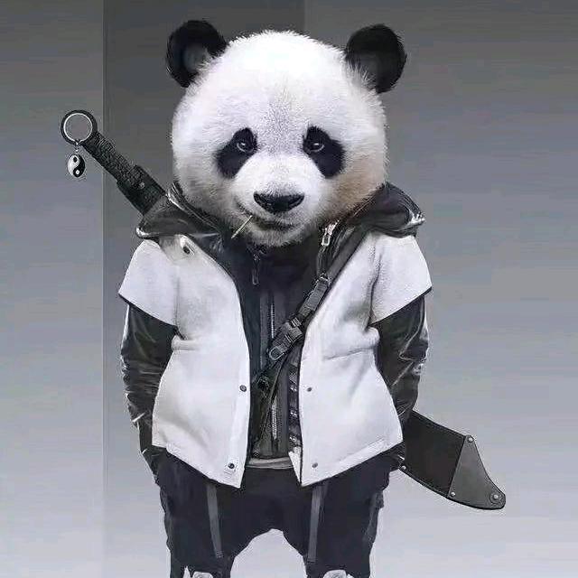 禅游屁胡哥