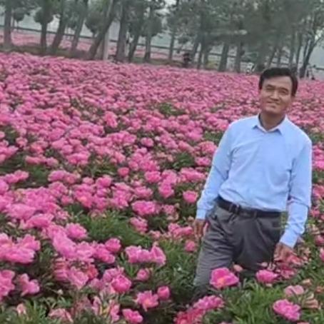 用户天合传奇