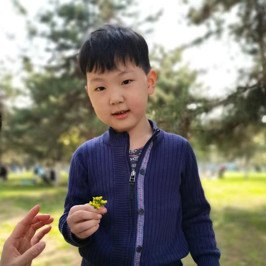 条条