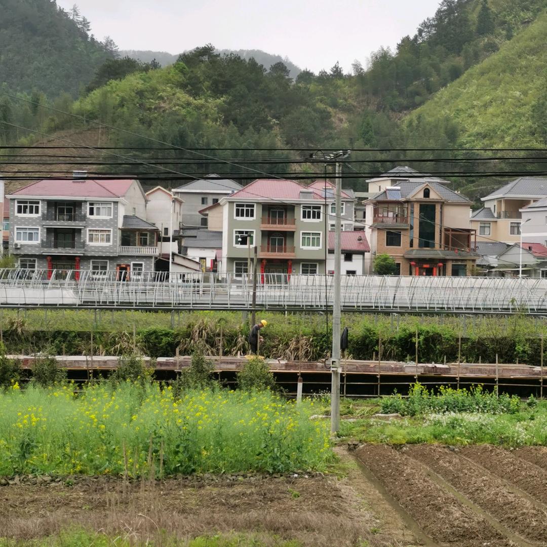 杭州嘉同何淳壮