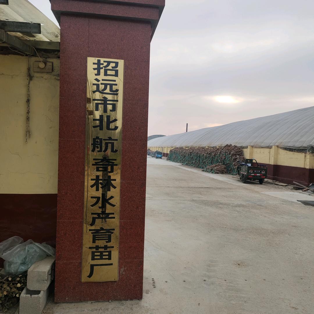 北航奇林育苗厂