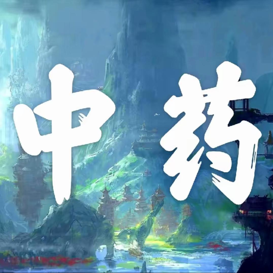 吕小度亦初滋补养生专卖店