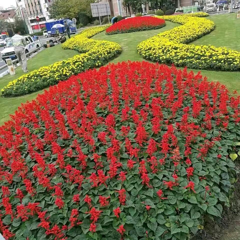 青州市永诺园林绿化