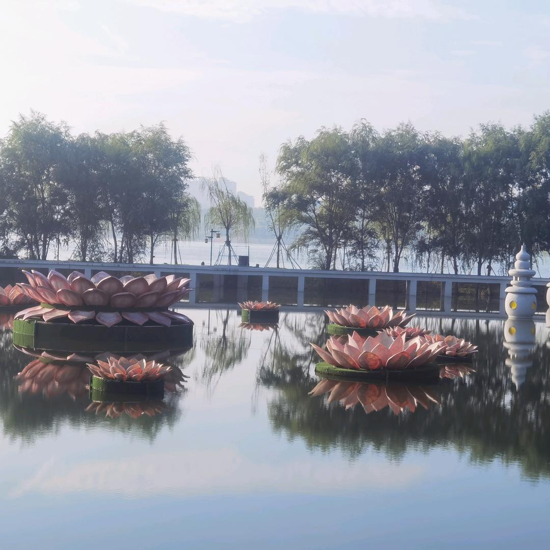 爱已舍为尊