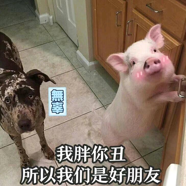 桐乐桐趣玩具店