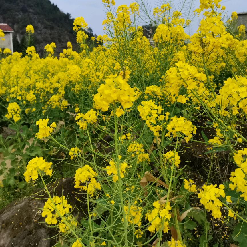 💘💝✌👩👸酒品人生