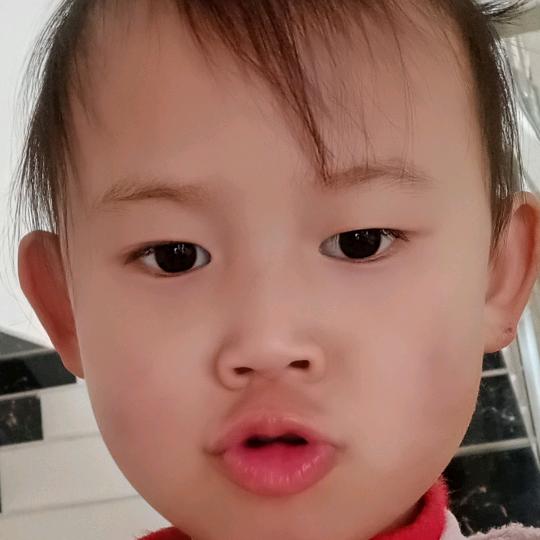 平凡的人生