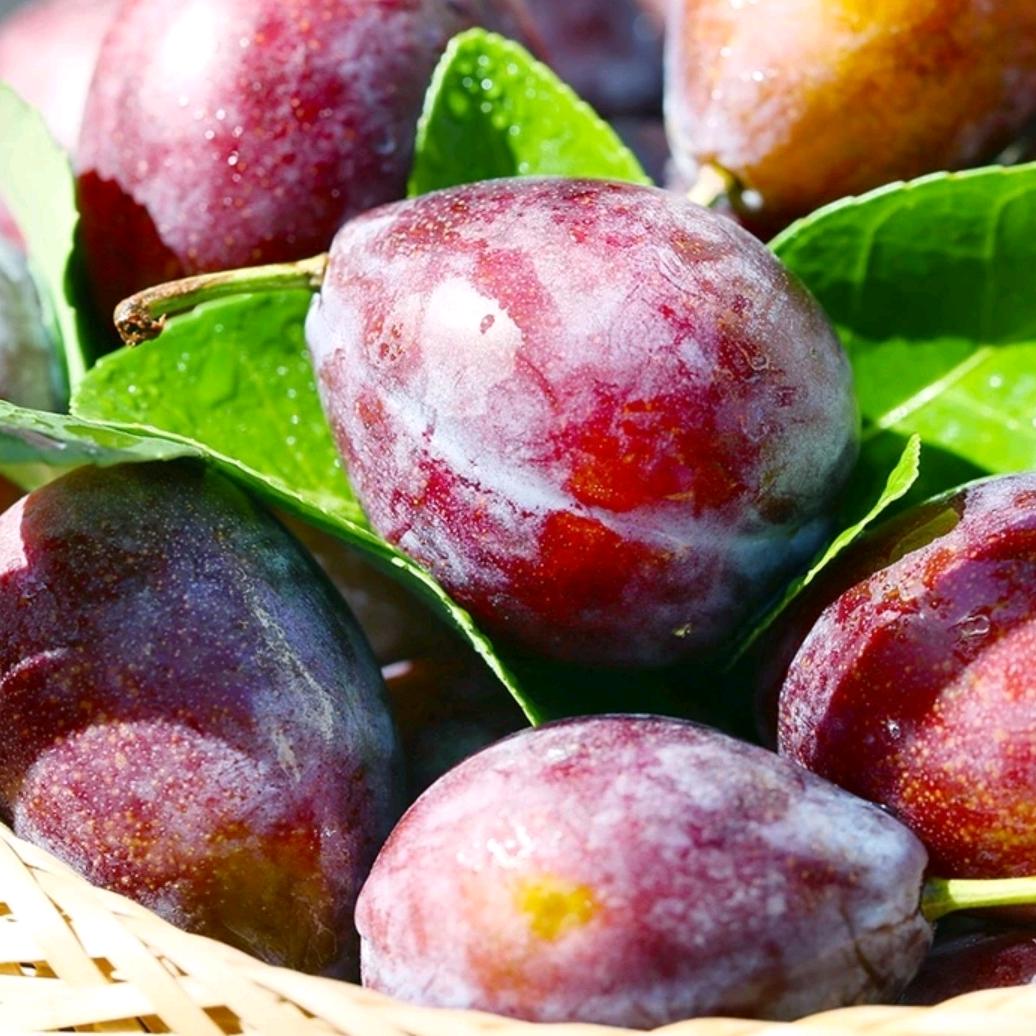 绿航航业美丽草坪