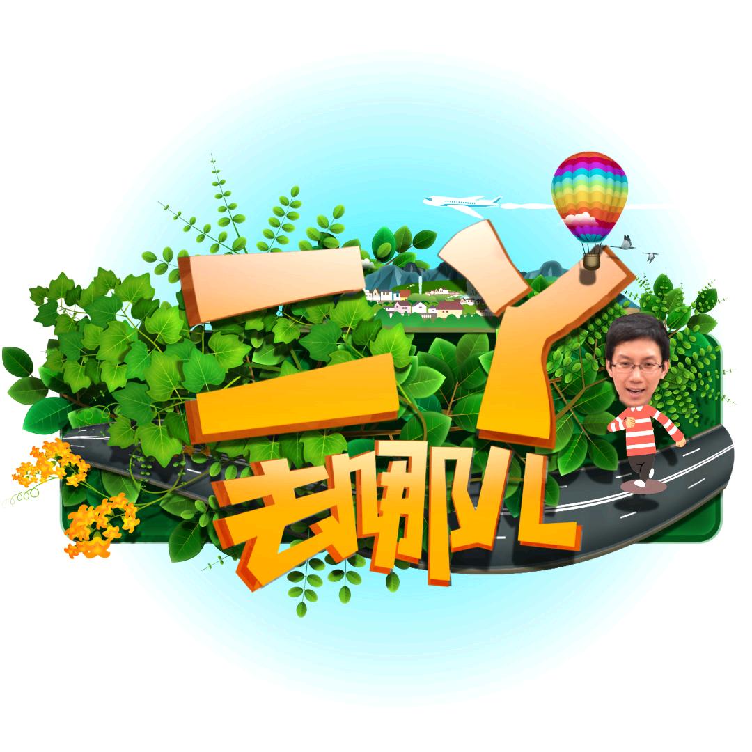 二丫去哪儿