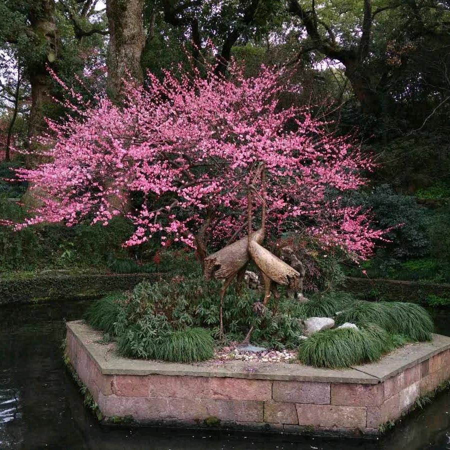 ♡小小孙♥的一家♡