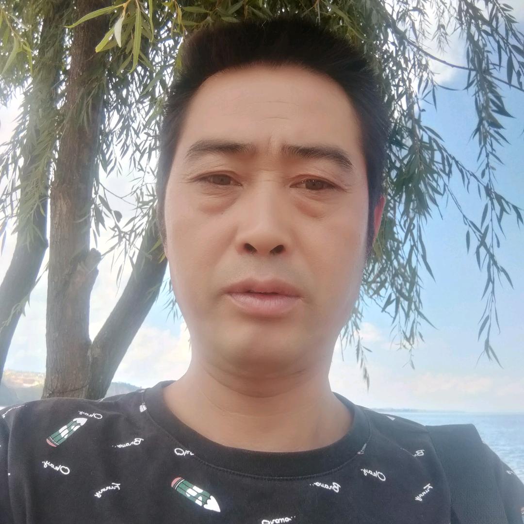 枯叶    蝶|。