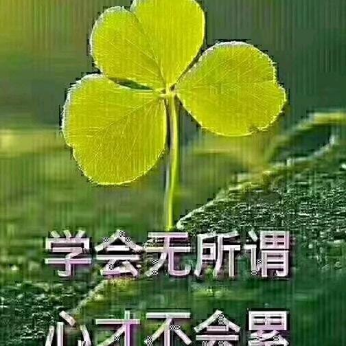 海之恋