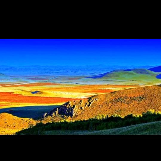 福夏
