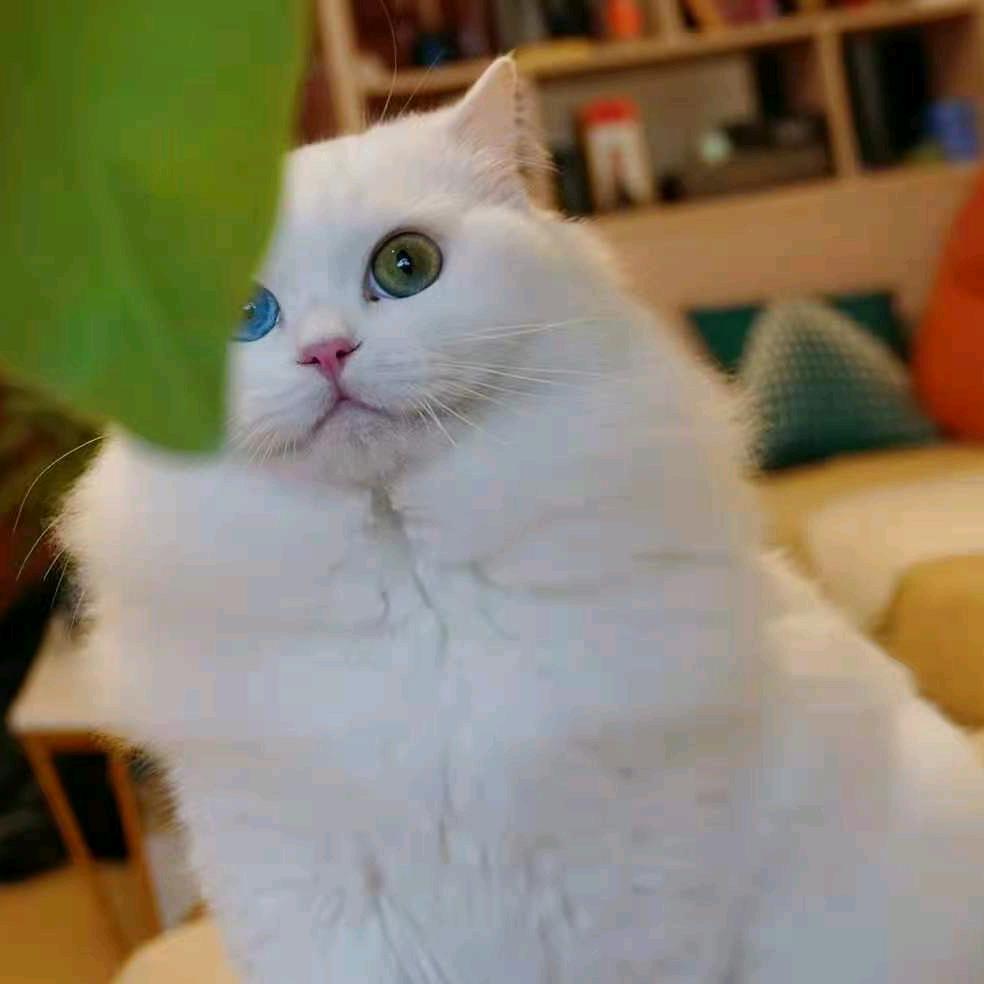 ໑ຼₒ₂4ღ᭄但（拒绝私聊）