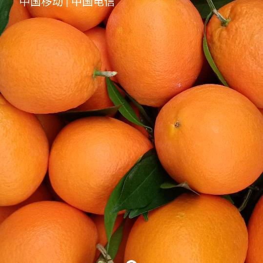诚信