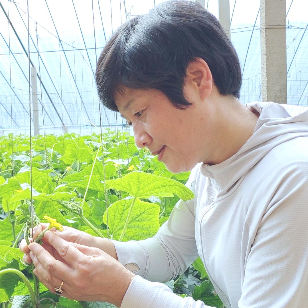 刘天英讲植保