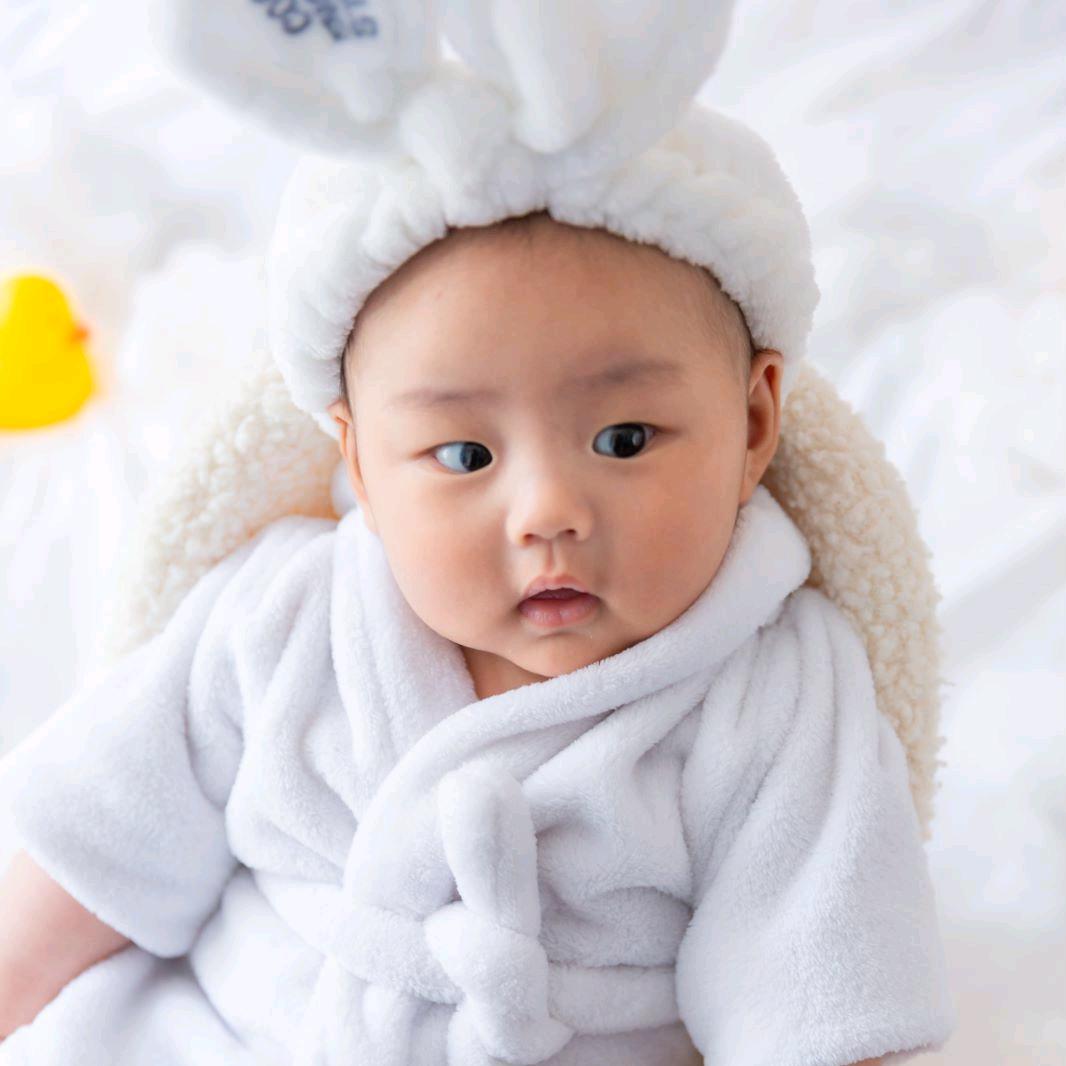A陆小强