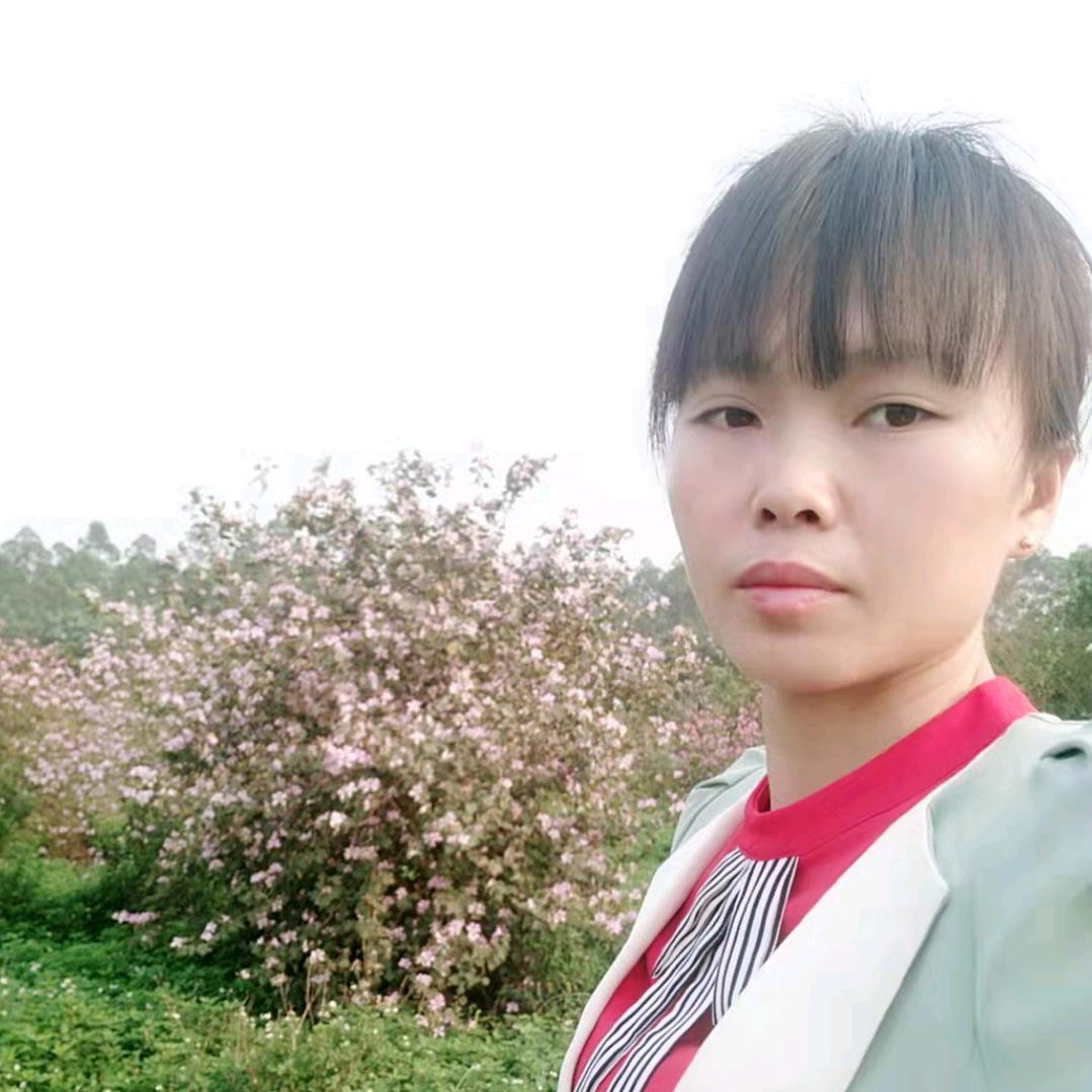 艺华种苗云南小妹