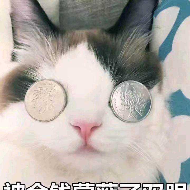 香瓜子