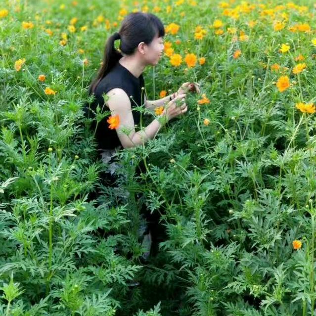爱儿宝贝童装