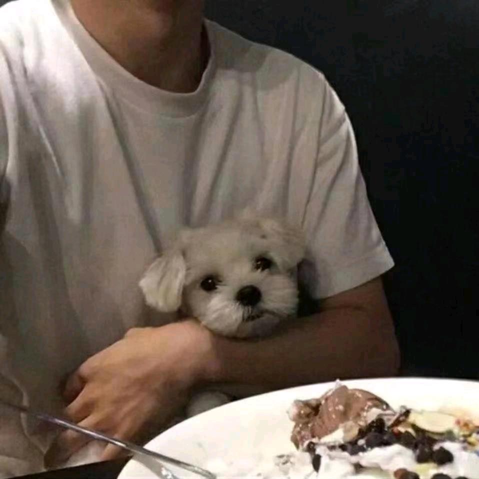 三角洲最最最有梦想的咸鱼