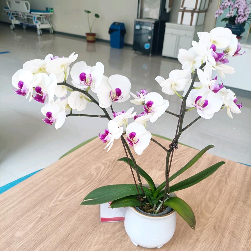 爱吃麻辣烫